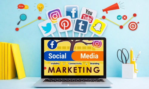 Social Media Marketing Services in Haryana